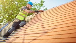 Best Skylight Installation and Repair  in Austin, AR