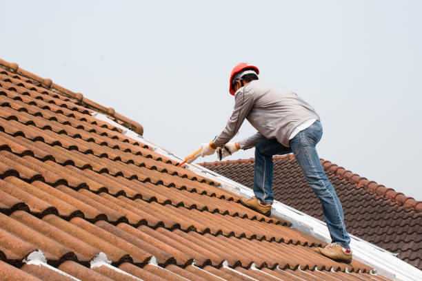 Best Sheet Metal Roofing  in Austin, AR